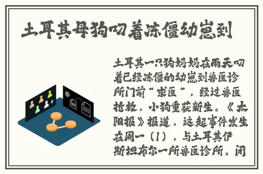 91精产国品的产品覆盖范围